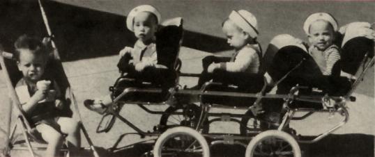 babies001.jpg